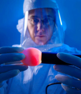 Scientist examining egg.