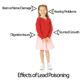 Effects of Lead Poisoning