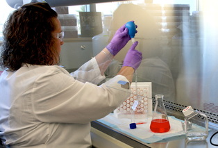 A public health laboratory analyst performing a test to detect WNV.